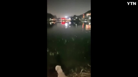 [신기한자연] 우리동네에 수달이 살고 있...