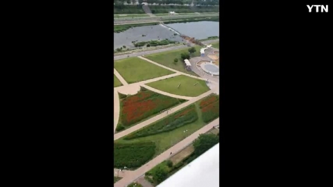 황조롱이 비행 근접촬영