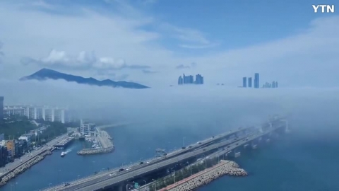 [신기한자연] 부산 광안리 해무