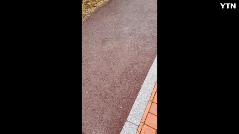 광주광역시 남구 임암동 우박