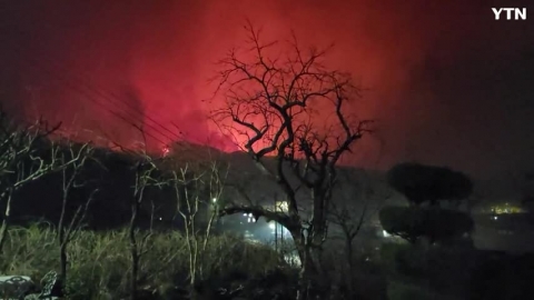동해시 만우동 형제봉 산불