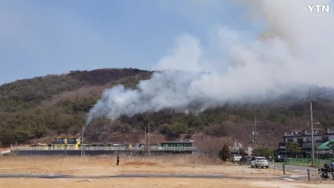 안산시 대부동 야산화재