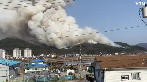 강원도 양구군 산불발생