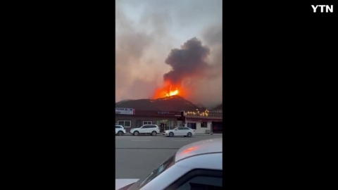 양구 산불 영상 입니다