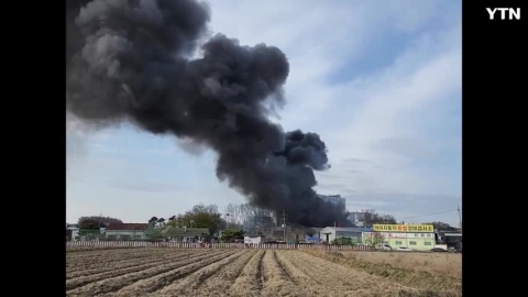 일산 덕이동 자동차 사업소 불