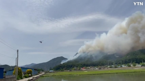 경북 울진 행곡리 산불