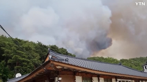 울진군 근남면 행곡리 산불