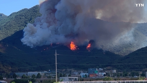 밀양시 부북면 산불