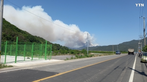 밀양부북면산불