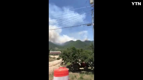 진영 밀양쪽 산불
