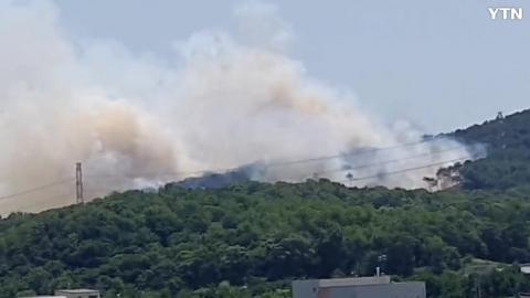 고양시 지영동 산불