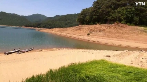 파로호에서 만난 오소리