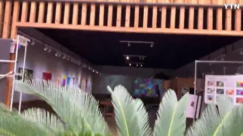 경기도 화성시에 핀 소철꽃