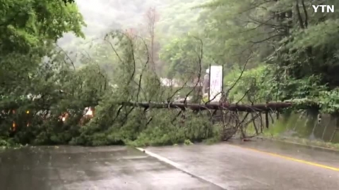 충북 충주댐 부근 