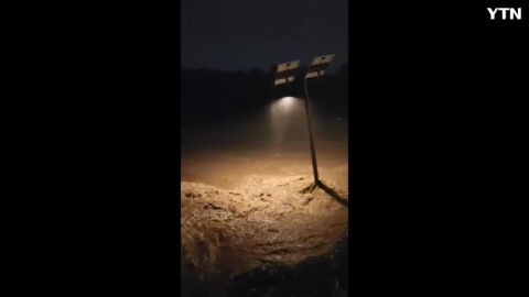 실시간 양재천입니다.