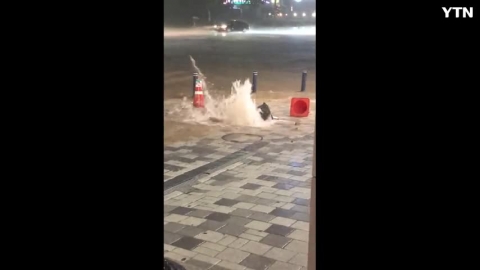 문정동 하수도 역류 영상