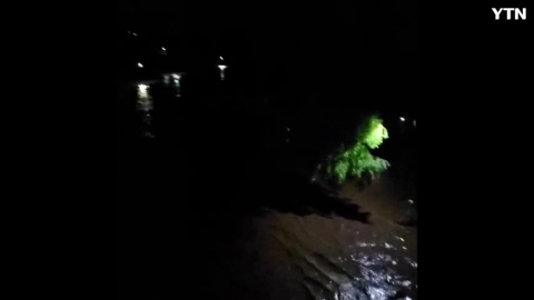 분당 탄천 현상황