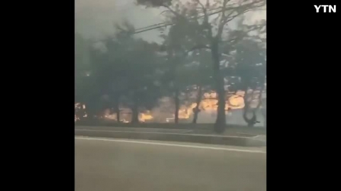 강릉 강풍에 불