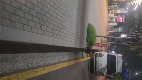 서울 도심에 나타난 너구리